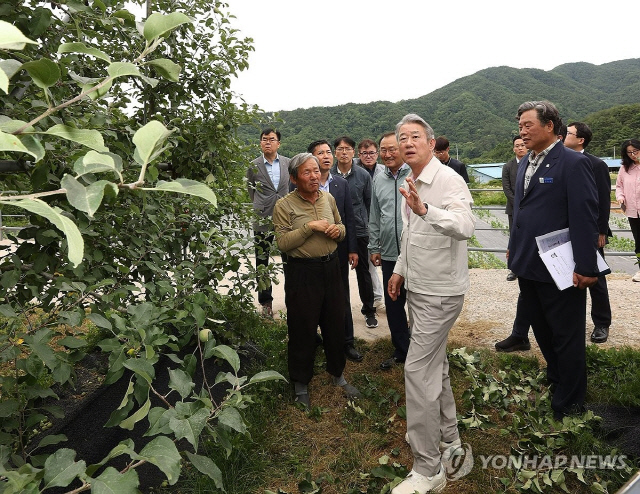 강호동 농협중앙회장이 지난 6월 17일 경남 거창군 소재 사과 농가를 방문해 사과 생육 동향을 살피고 있다. [농협 제공]